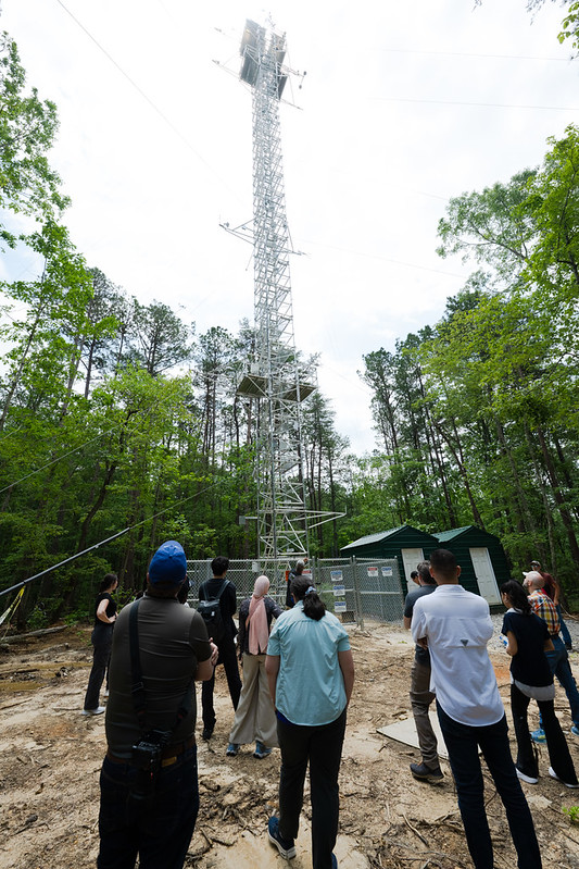 A group of people look up at a tall tower standing in a forest clearing.
