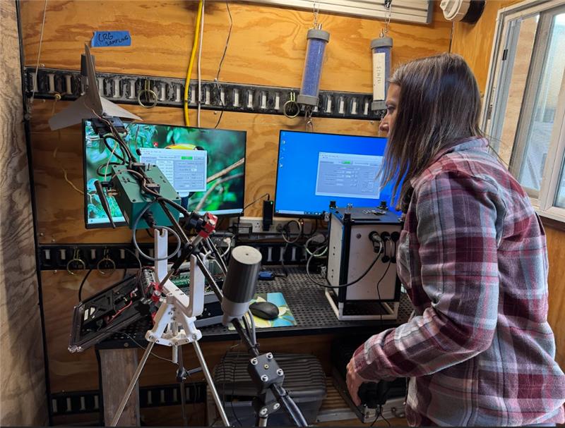 A person wearing a plaid long-sleeved shirt looks at data on a computer screen.