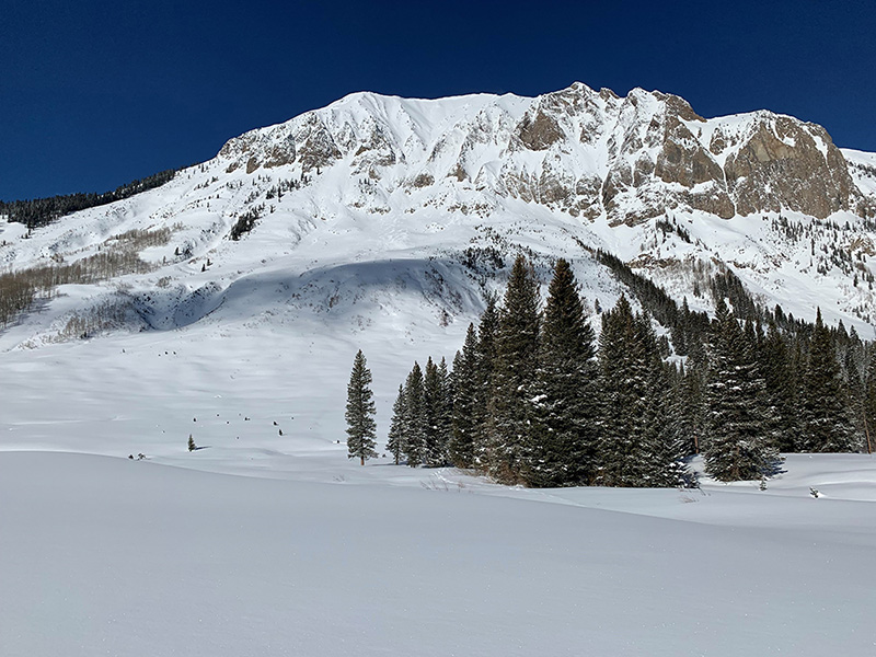 Snow blankets the ground around and a mountain behind a patch of trees.